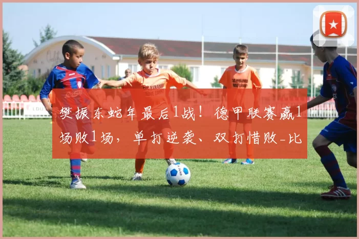 樊振东蛇年最后1战！德甲联赛赢1场败1场，单打逆袭、双打惜败_比赛_萨尔布吕肯_赛场