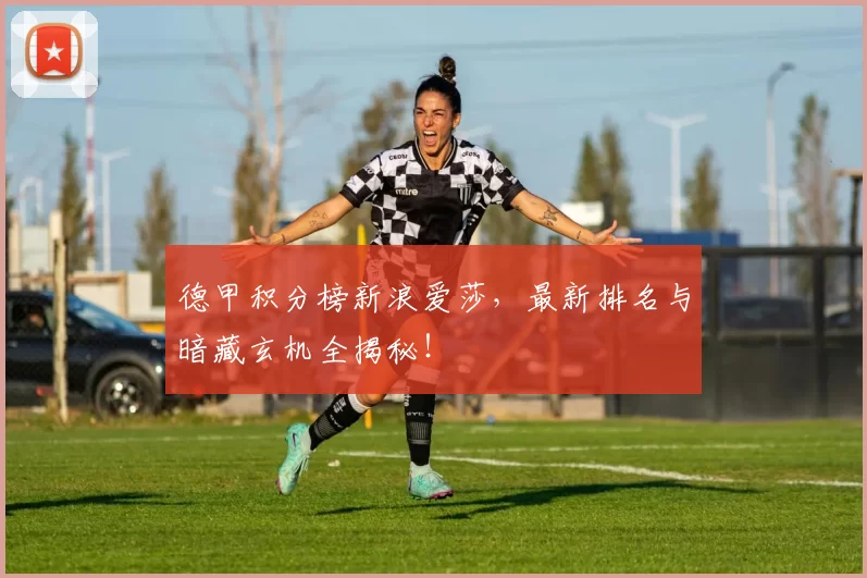 德甲积分榜新浪爱莎，最新排名与暗藏玄机全揭秘！